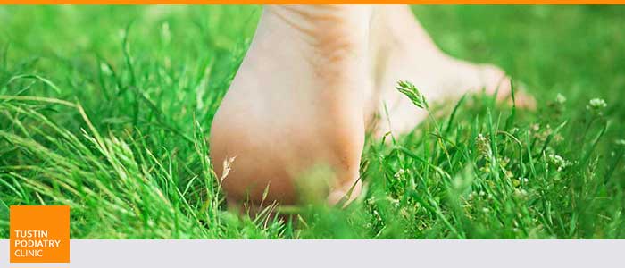 Key Questions to Ask Your Podiatrist | Dr. Charles Baik, DPM Key Questions to Ask Your Podiatrist | Dr. Charles Baik, DPM